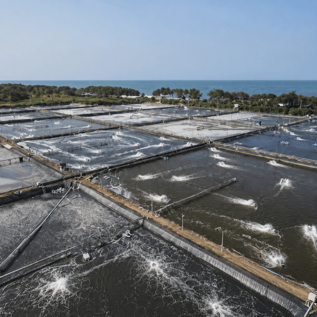 The Zero-Variable Farm