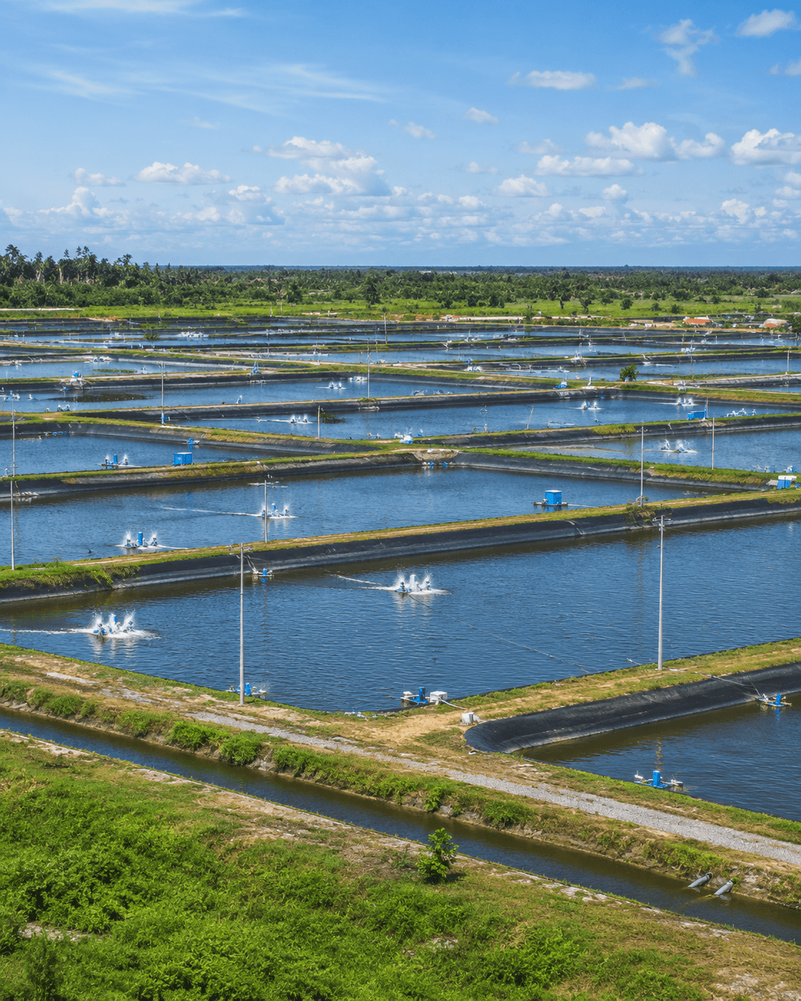 Aquaculture Grid Matrix