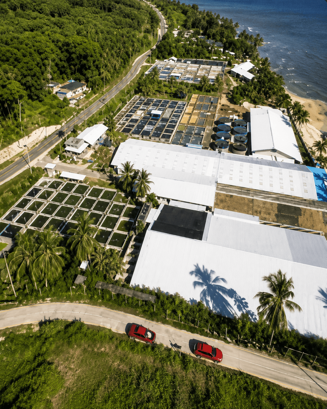 Coastal Hatchery Core