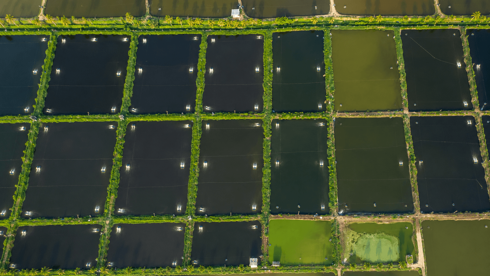 Bio-Secure Farming Aerial